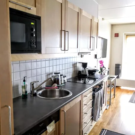 Fully Furnished 아파트 *