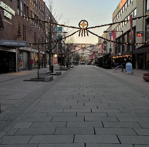 Fully Furnished Lillestrøm